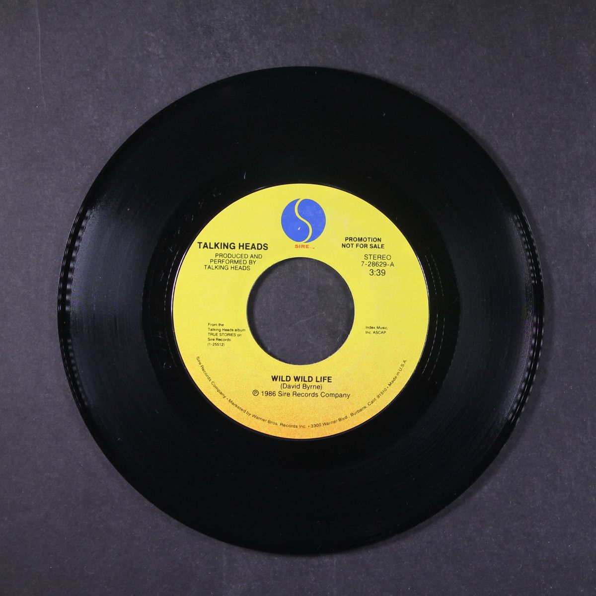 wild wild life by TALKING HEADS