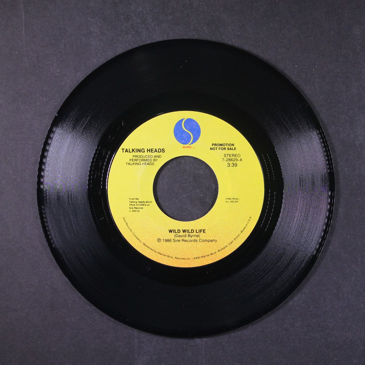 wild wild life by TALKING HEADS
