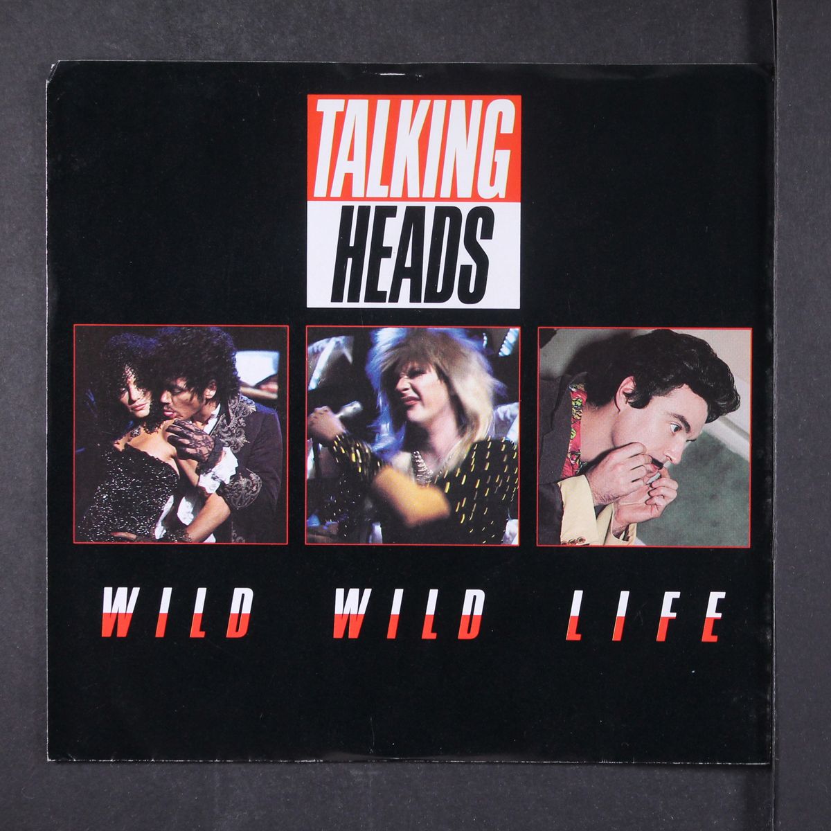 wild wild life by TALKING HEADS
