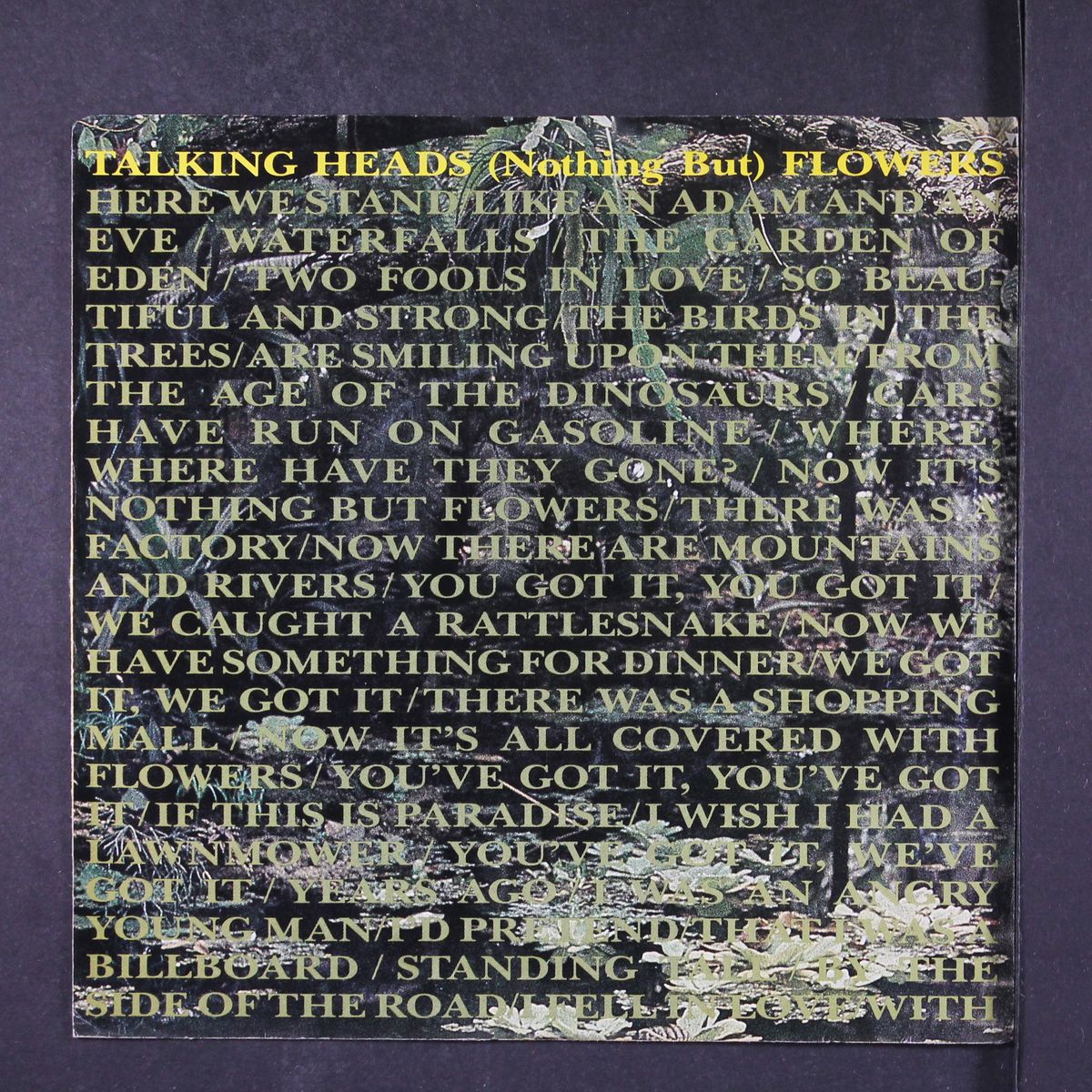 (nothing but) flowers / ruby dear by TALKING HEADS
