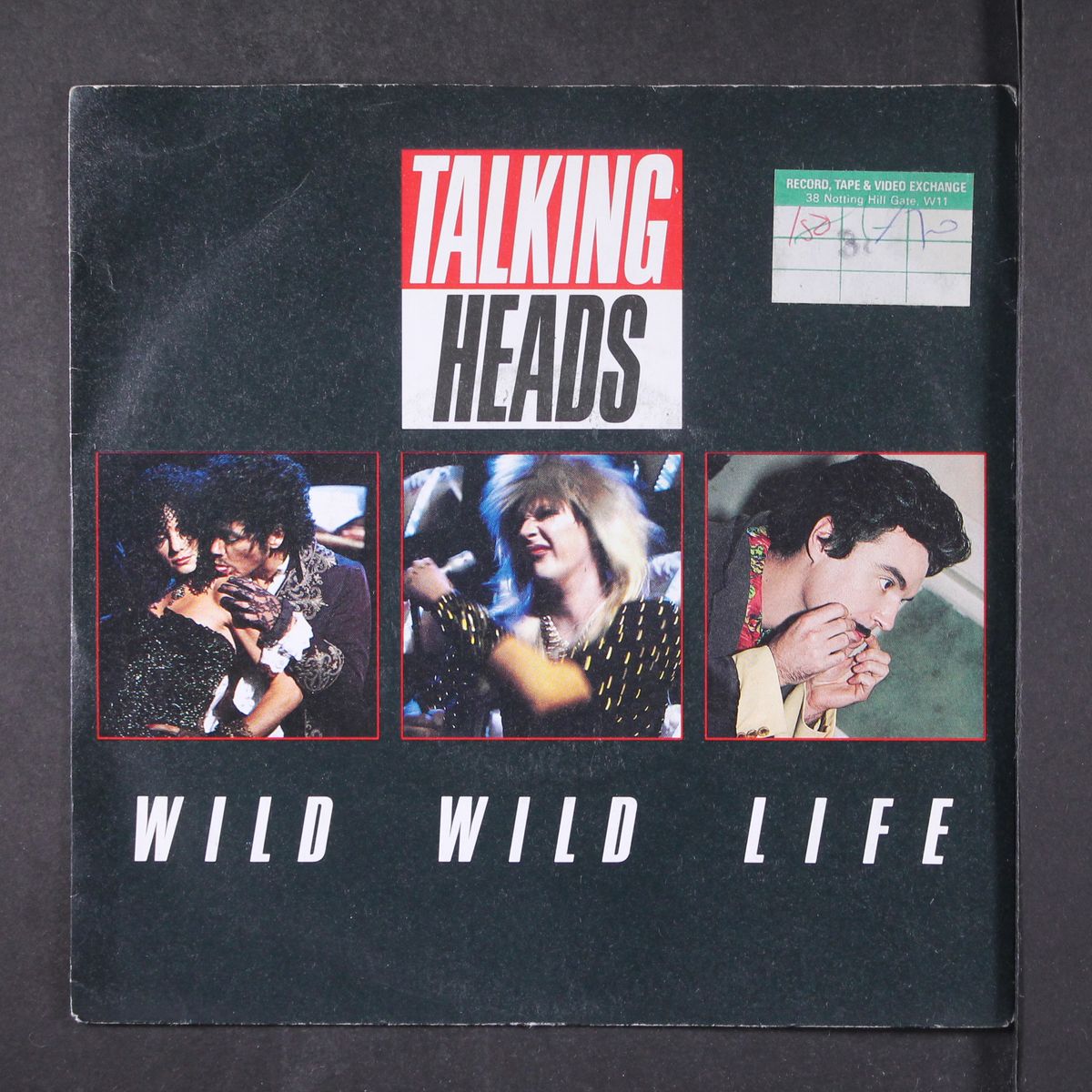 wild wild life by TAKLING HEADS