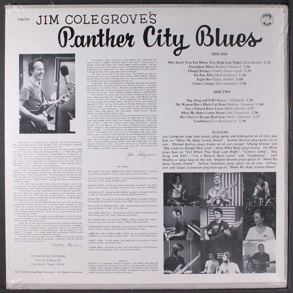 panther city blues by JIM COLEGROVE