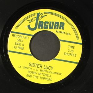 BOBBY MITCHELL & TOPPERS / TOP HITS