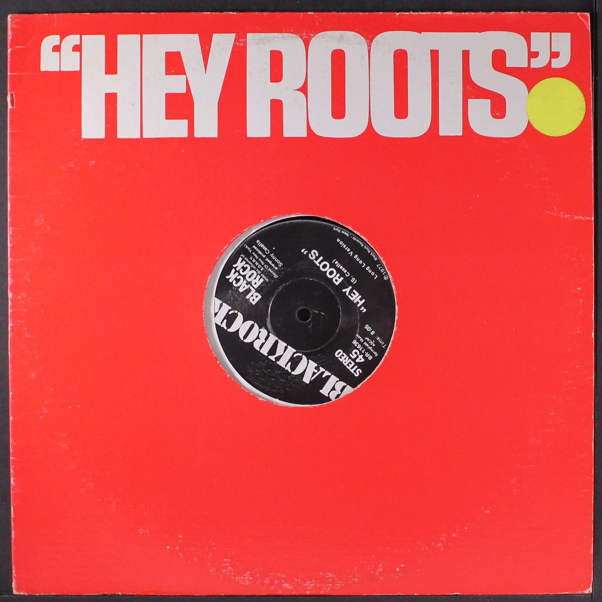 hey roots by BLACKROCK