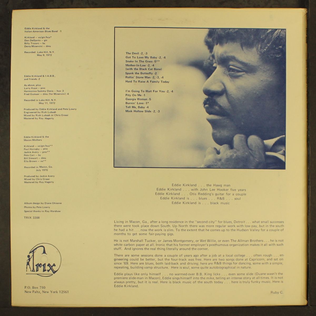 the devil and other blues demons by EDDIE KIRKLAND