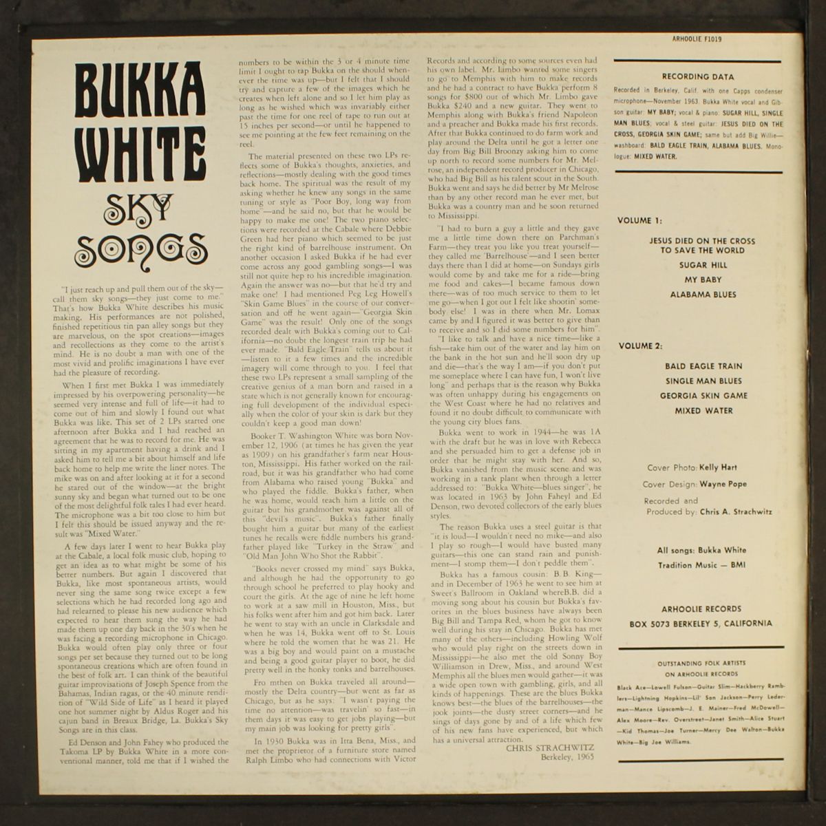 sky songs, vol. 1 by BUKKA WHITE