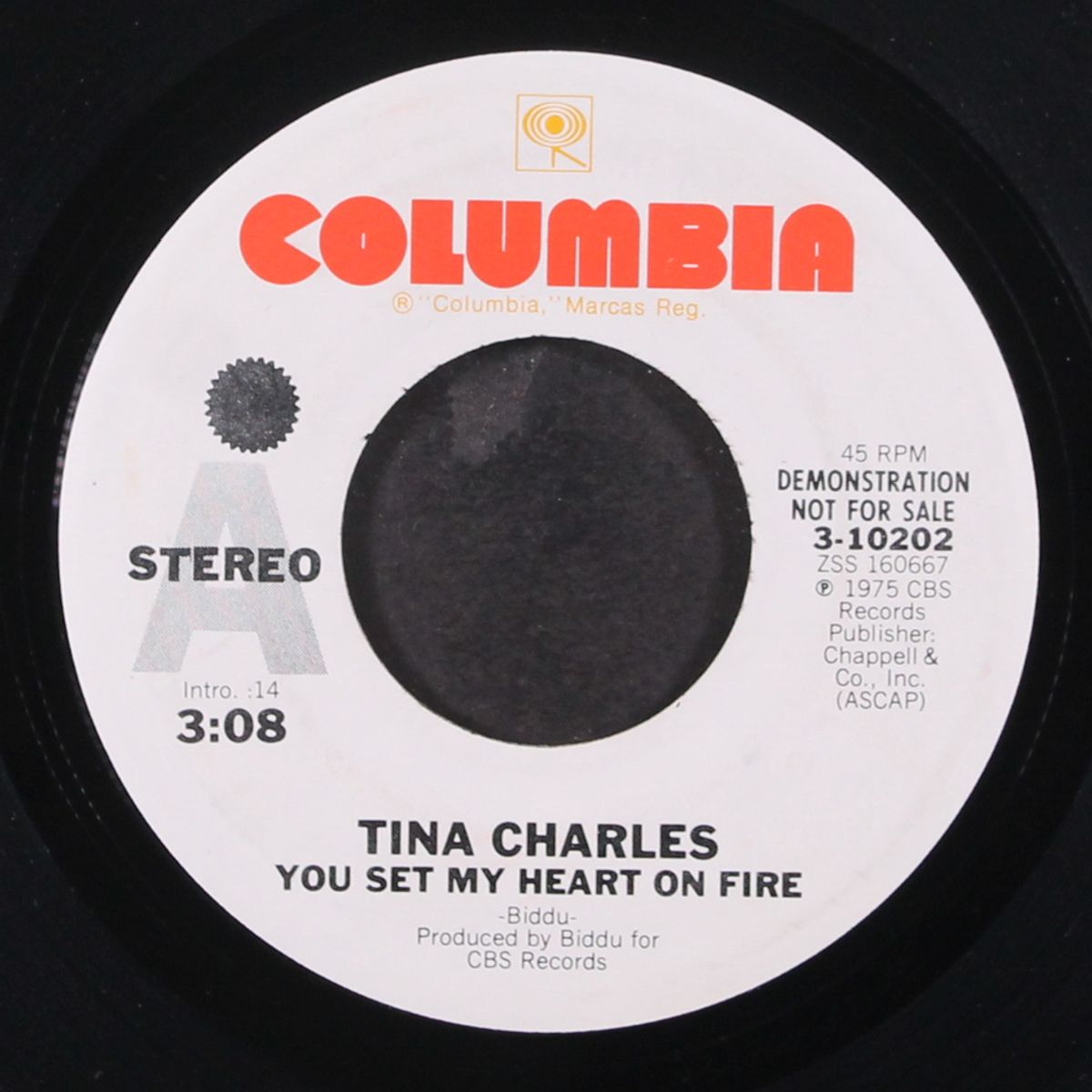 you set my heart on fire by TINA CHARLES