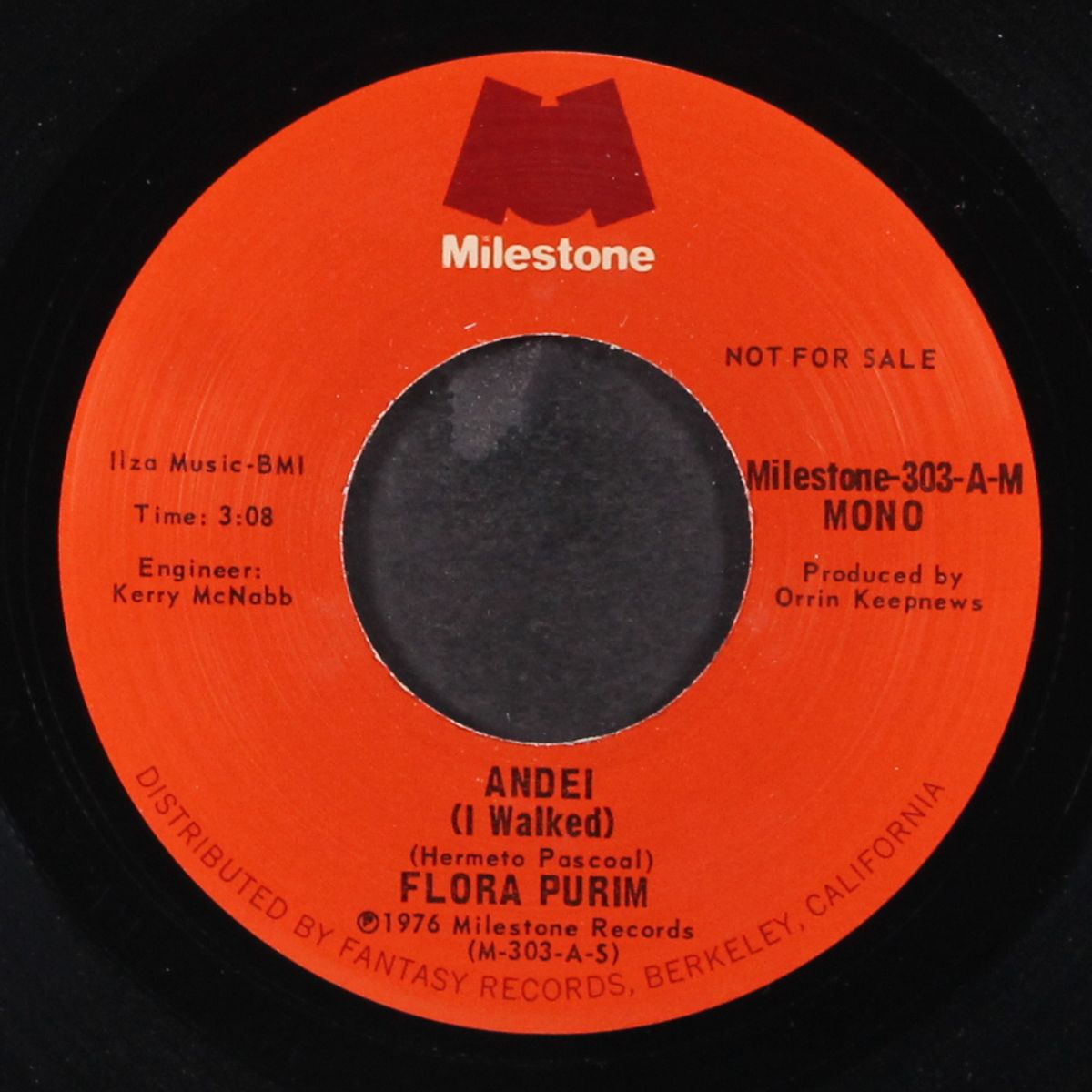 andei (i walked) / mono by FLORA PURIM