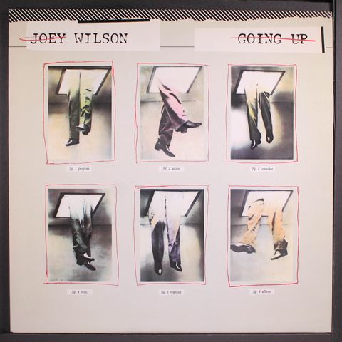 JOEY WILSON