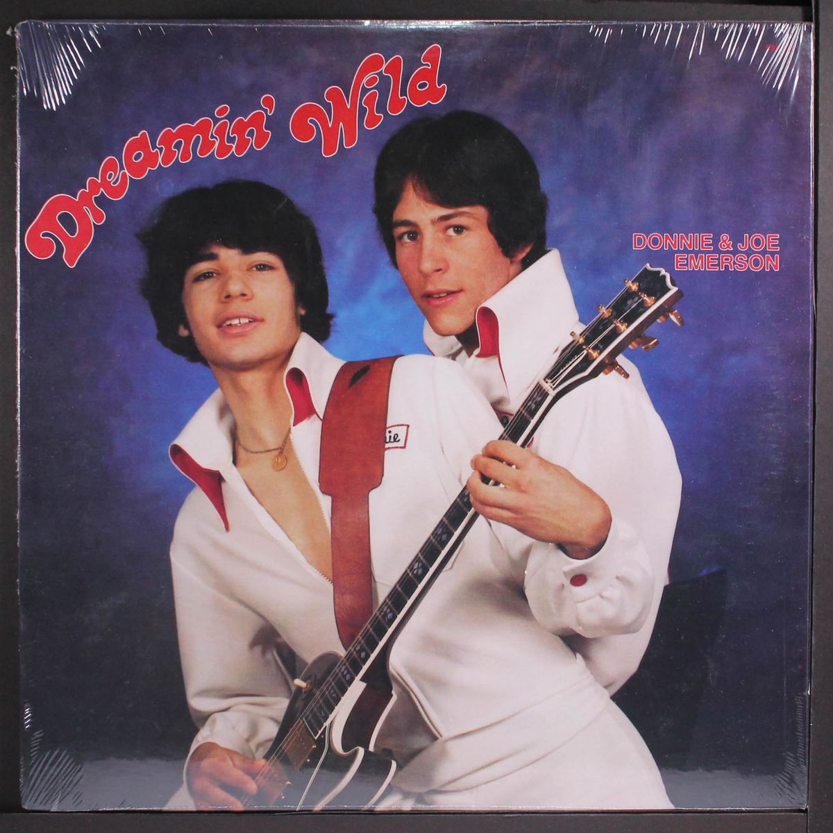 dreamin' wild by DONNIE & JOE EMERSON