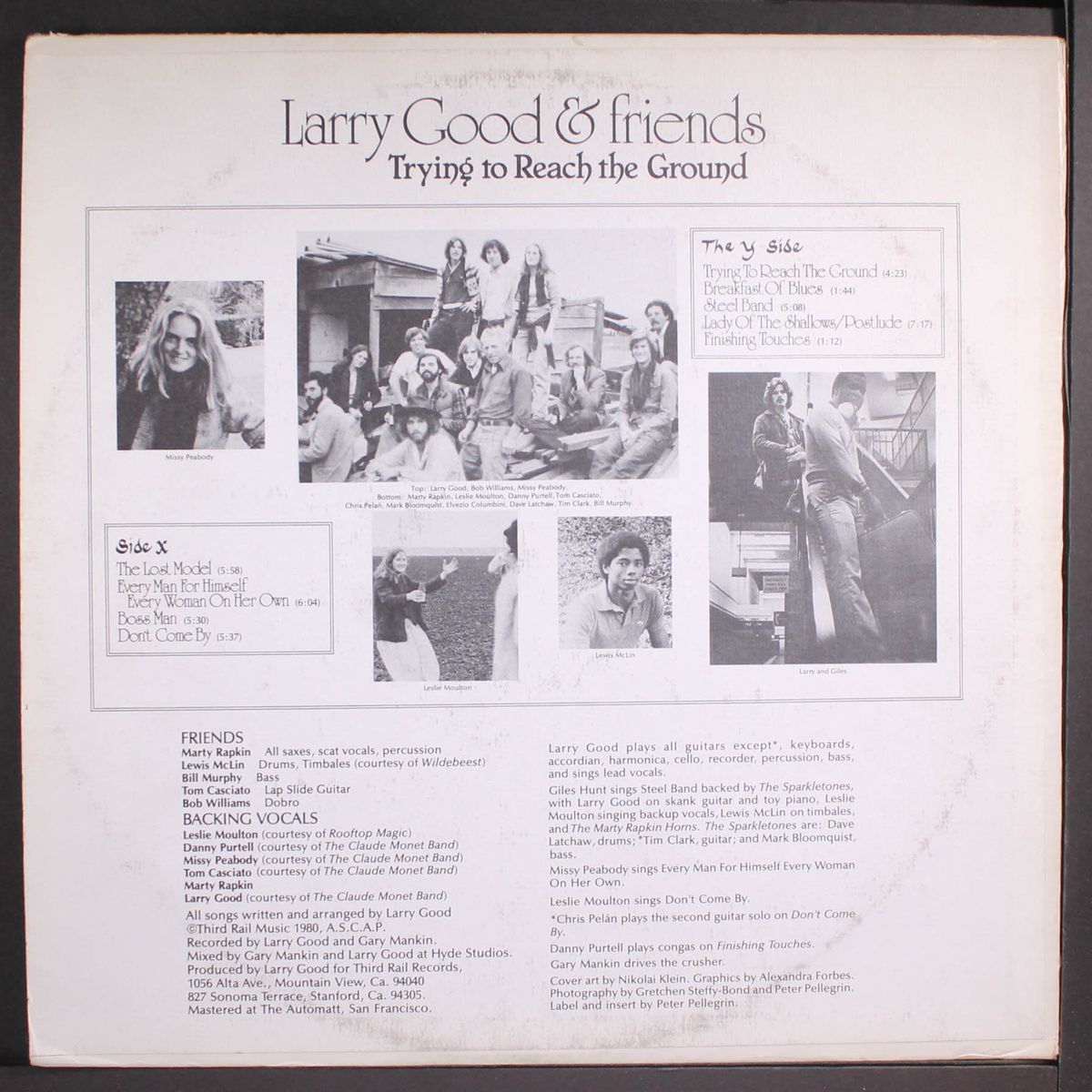 trying to reach the ground by LARRY GOOD & FRIENDS