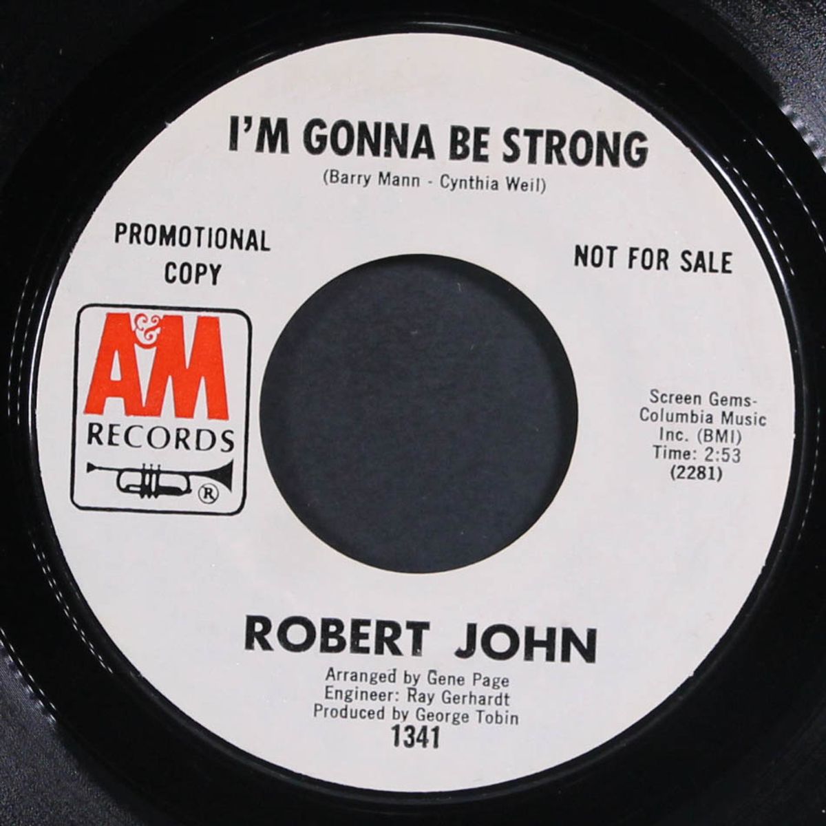 i'm gonna be strong by ROBERT JOHN