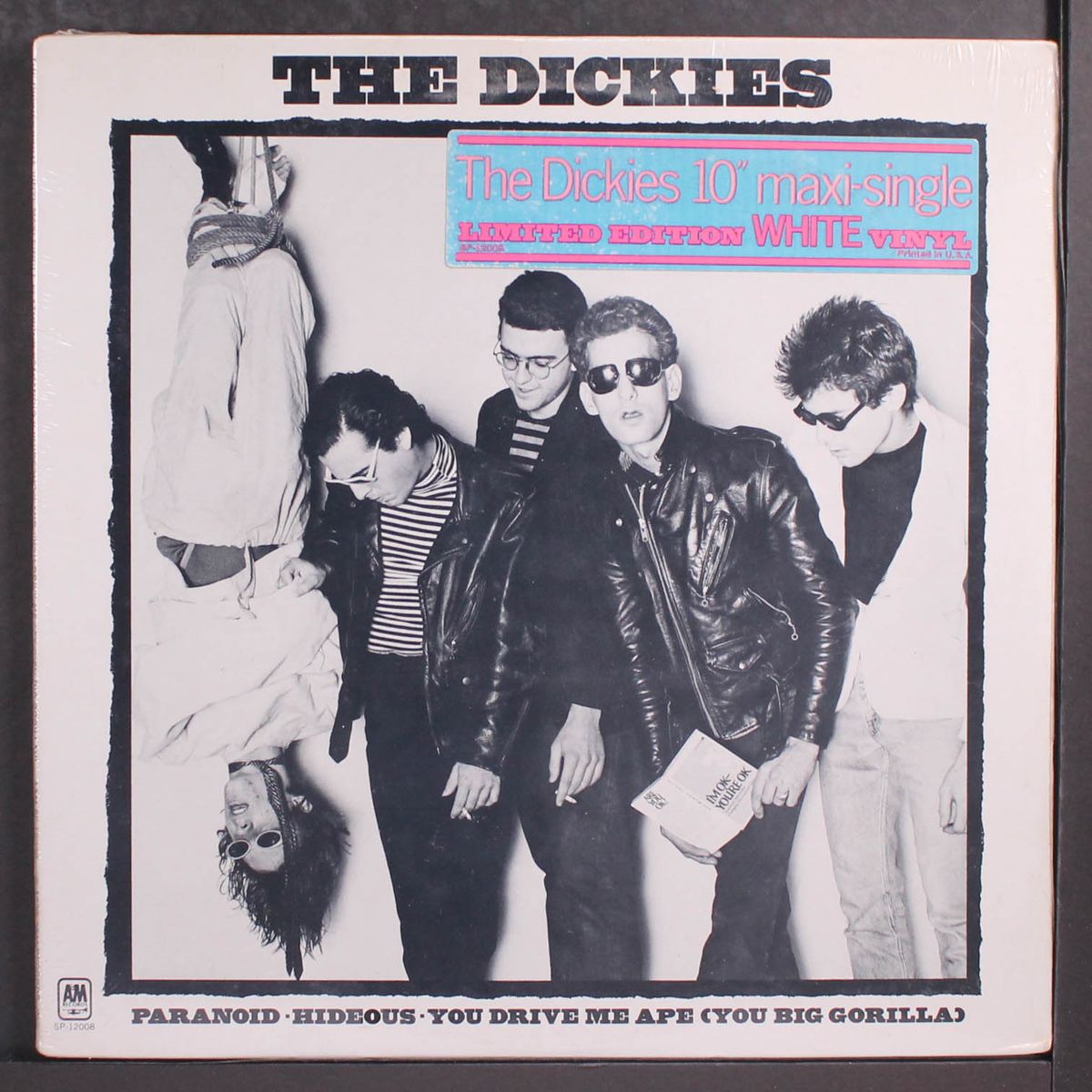 paranoid by DICKIES