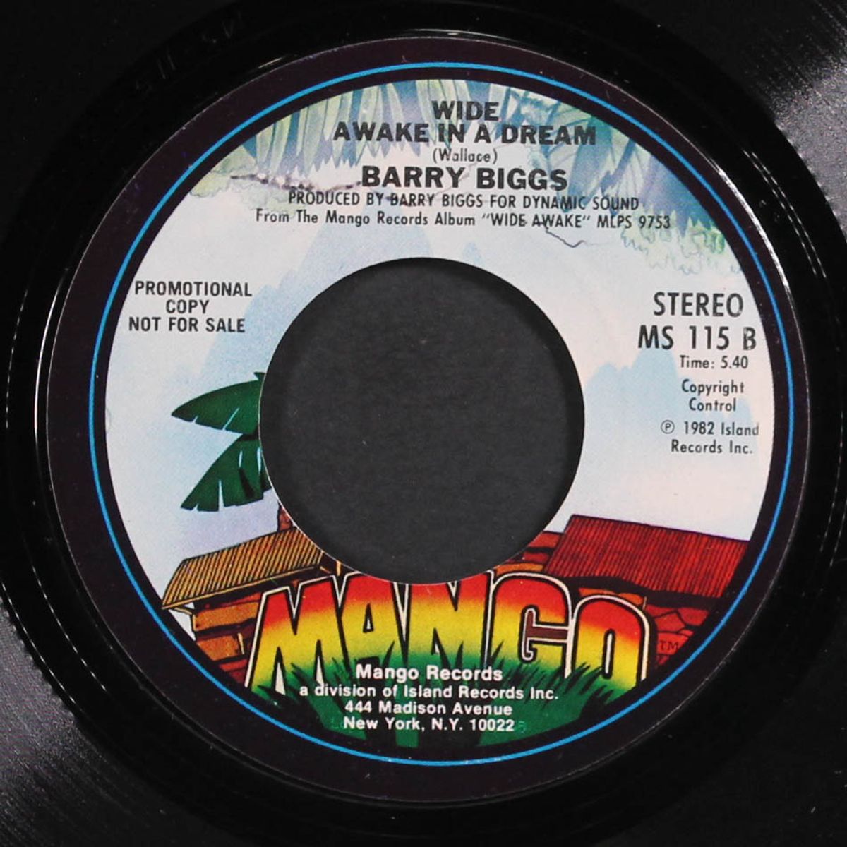 this is good life / wide awake in a dream by BARRY BIGGS