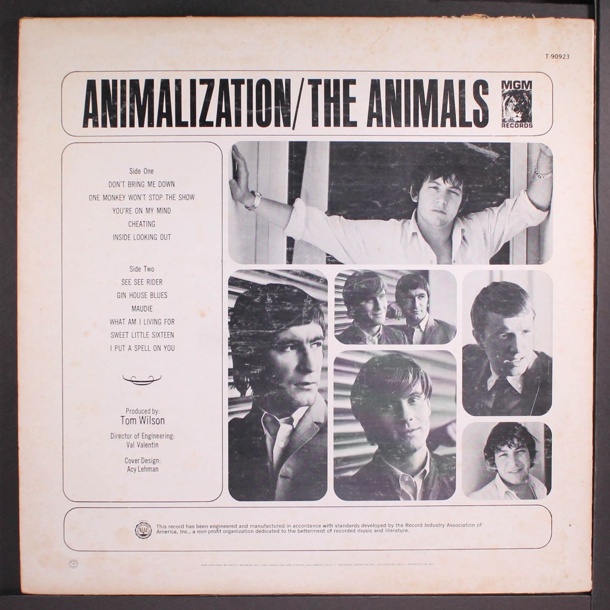 animalization by ANIMALS