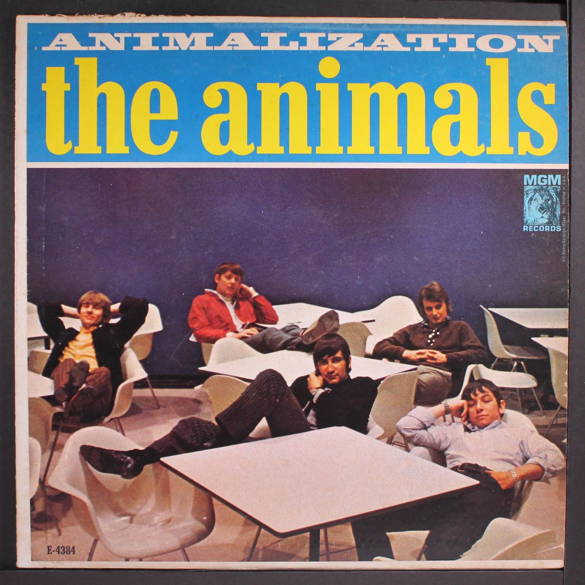 animalization by ANIMALS