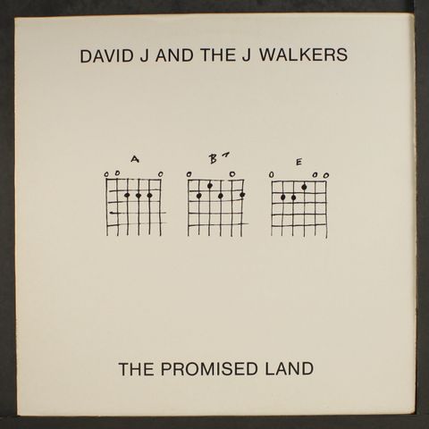 DAVID J & J WALKERS