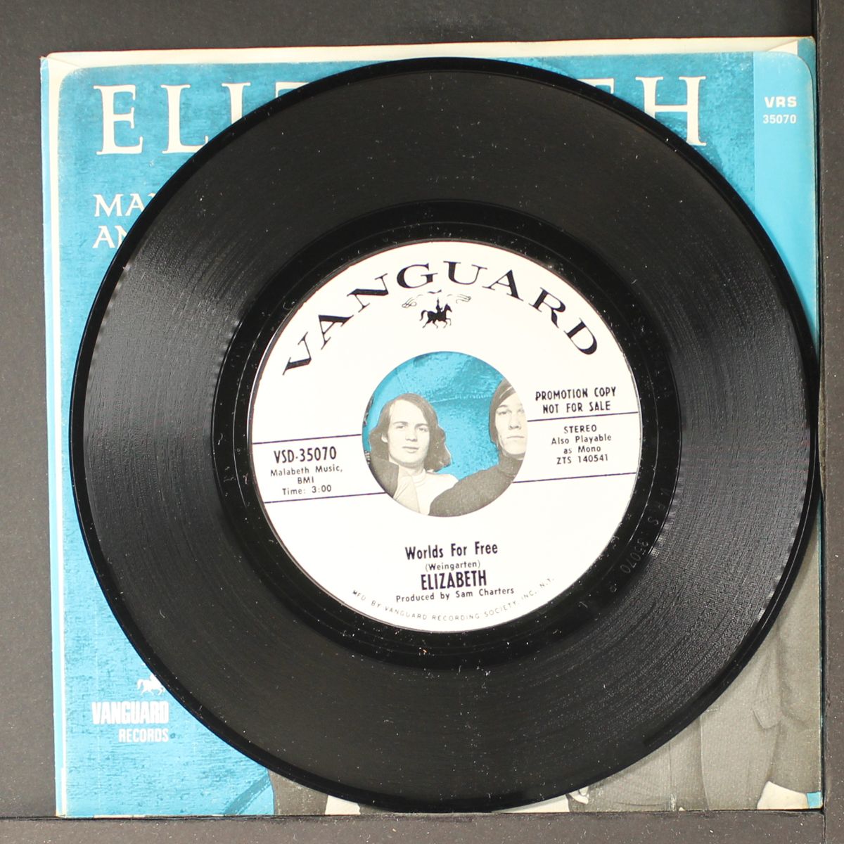 mary anne / worlds for free by ELIZABETH