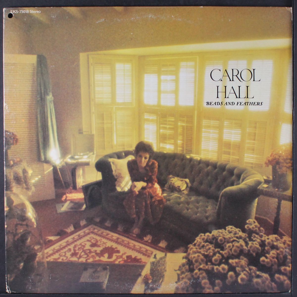 beads and feathers by CAROL HALL