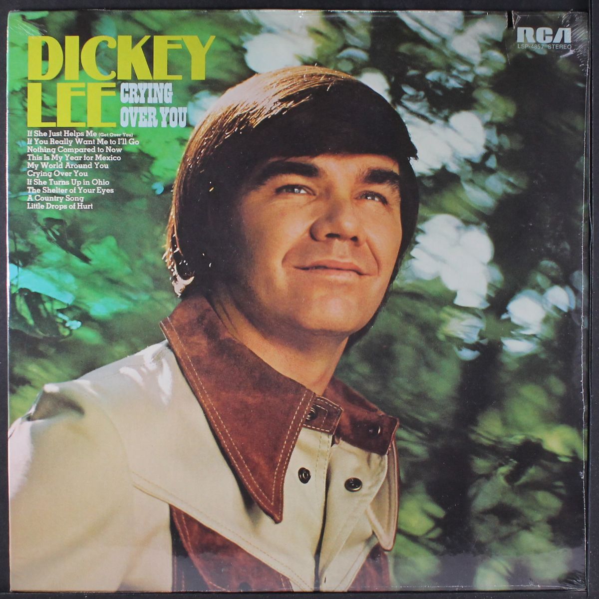 crying over you by DICKEY LEE