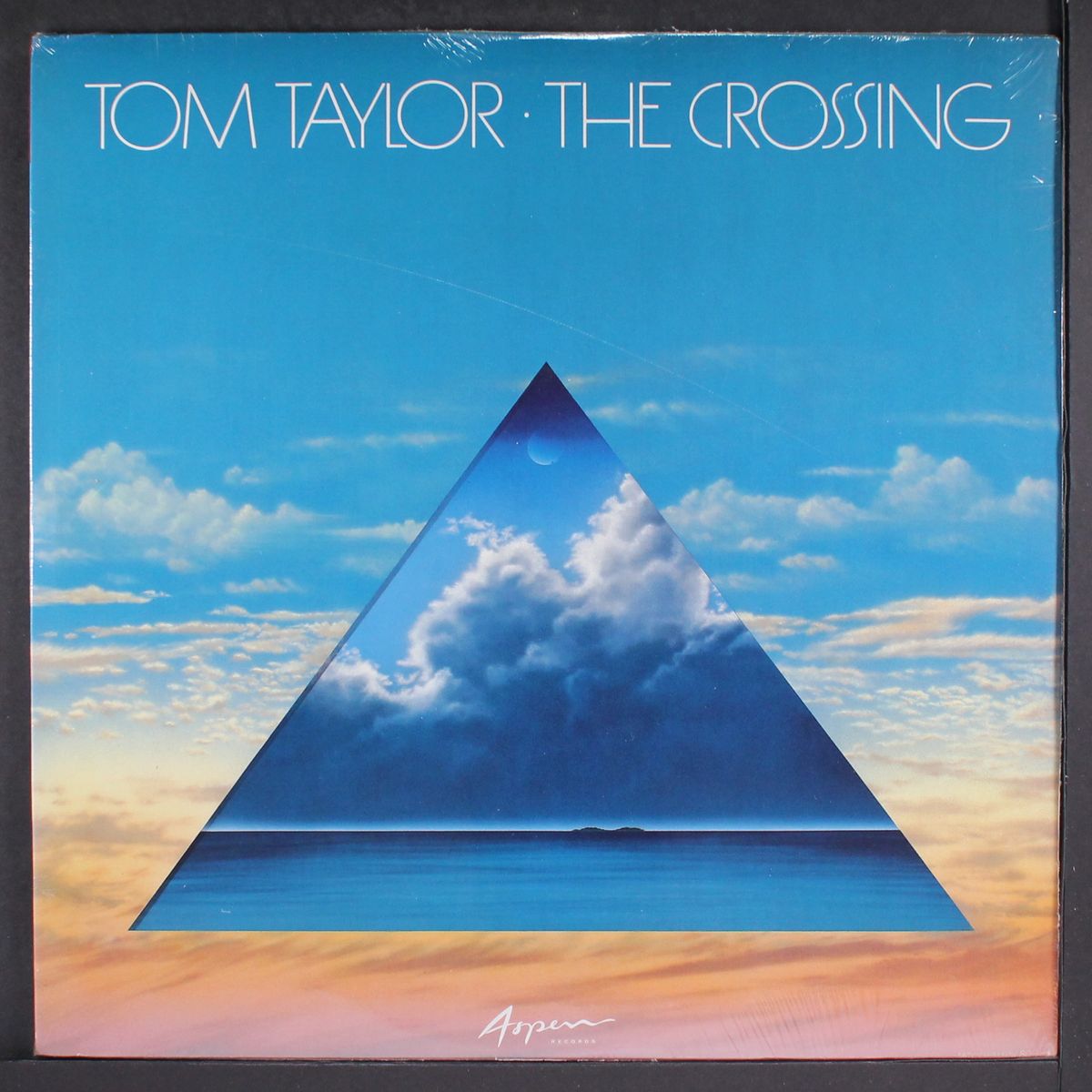 the crossing by TOM TAYLOR