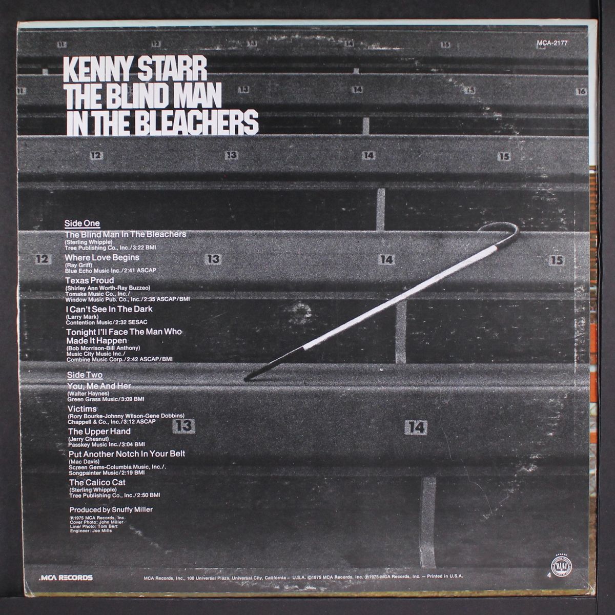 the blind man in the bleachers by KENNY STARR