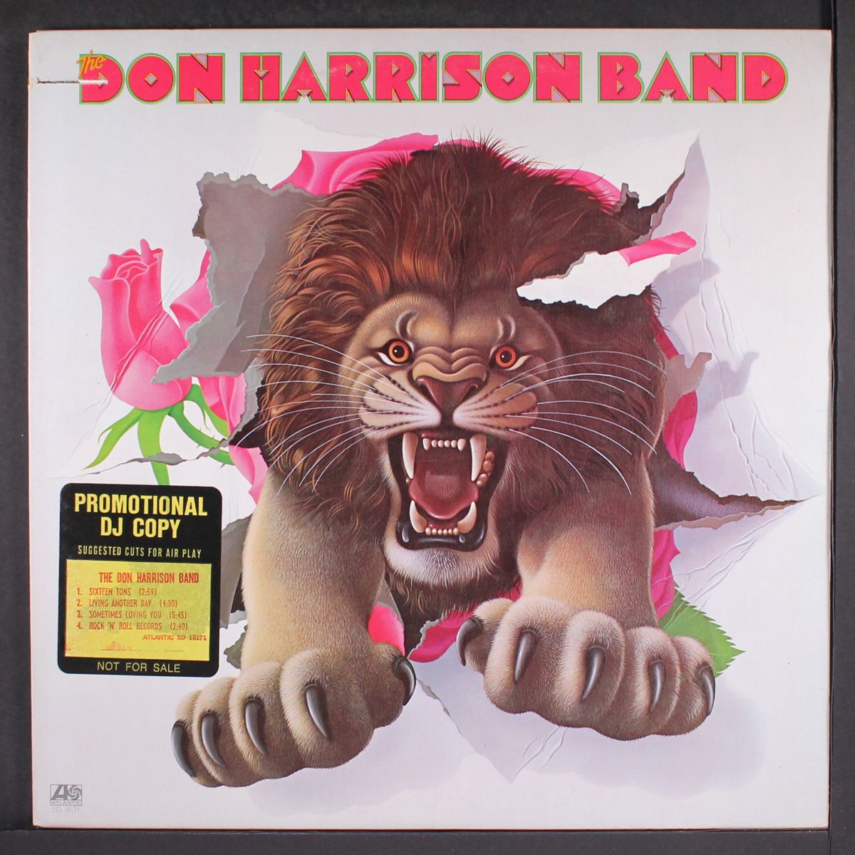 the don harrison band by DON HARRISON BAND