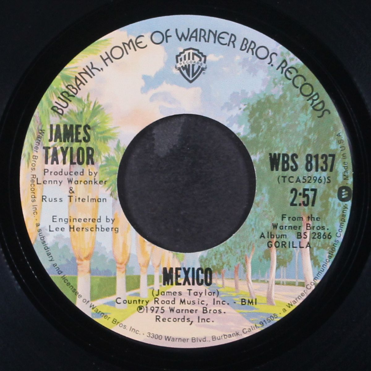 mexico / gorilla by JAMES TAYLOR