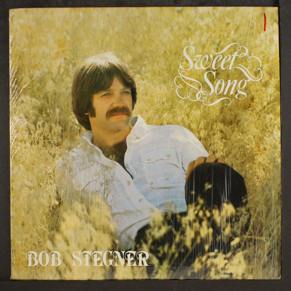 sweet song by BOB STEGNER