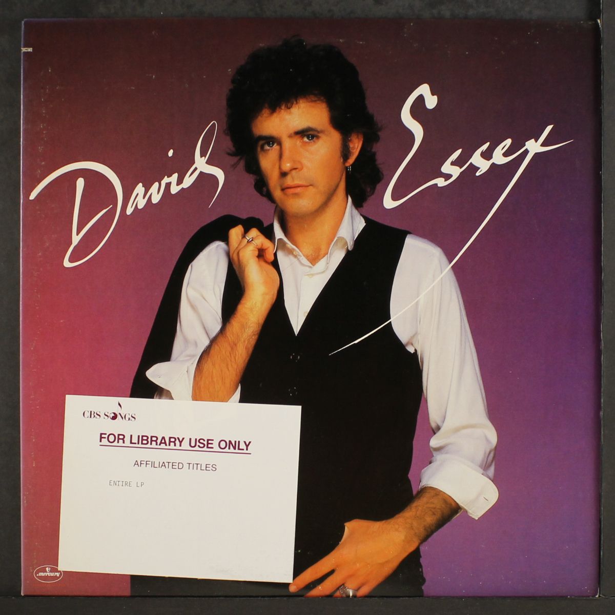 david essex by DAVID ESSEX