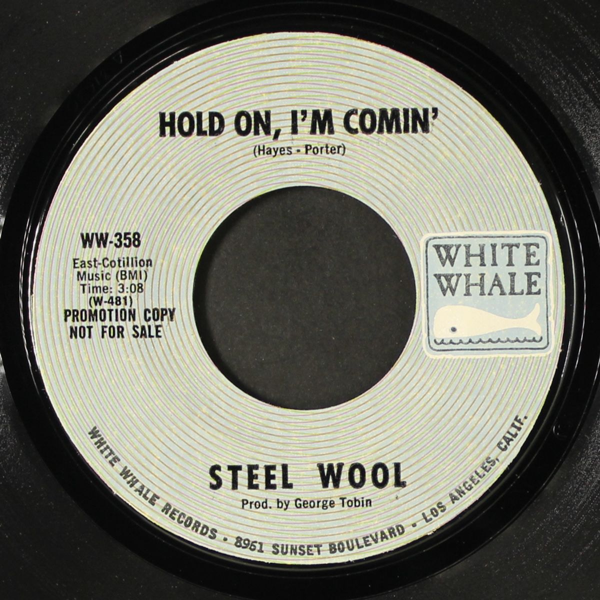 hold on, i'm comin' by STEEL WOOL