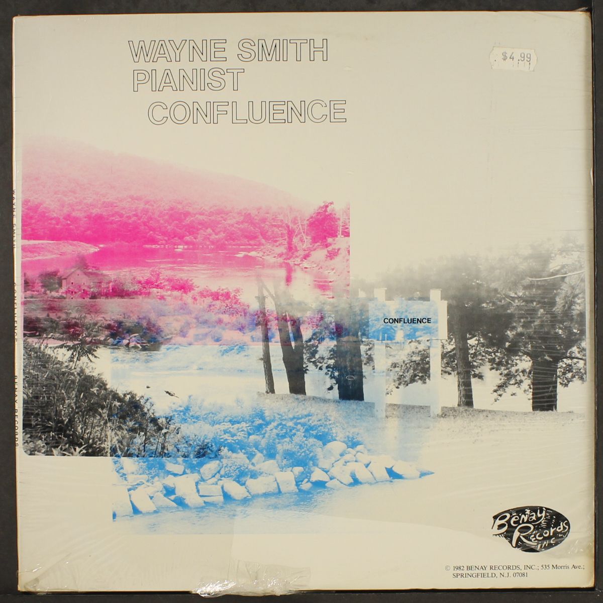 confluence by WAYNE SMITH