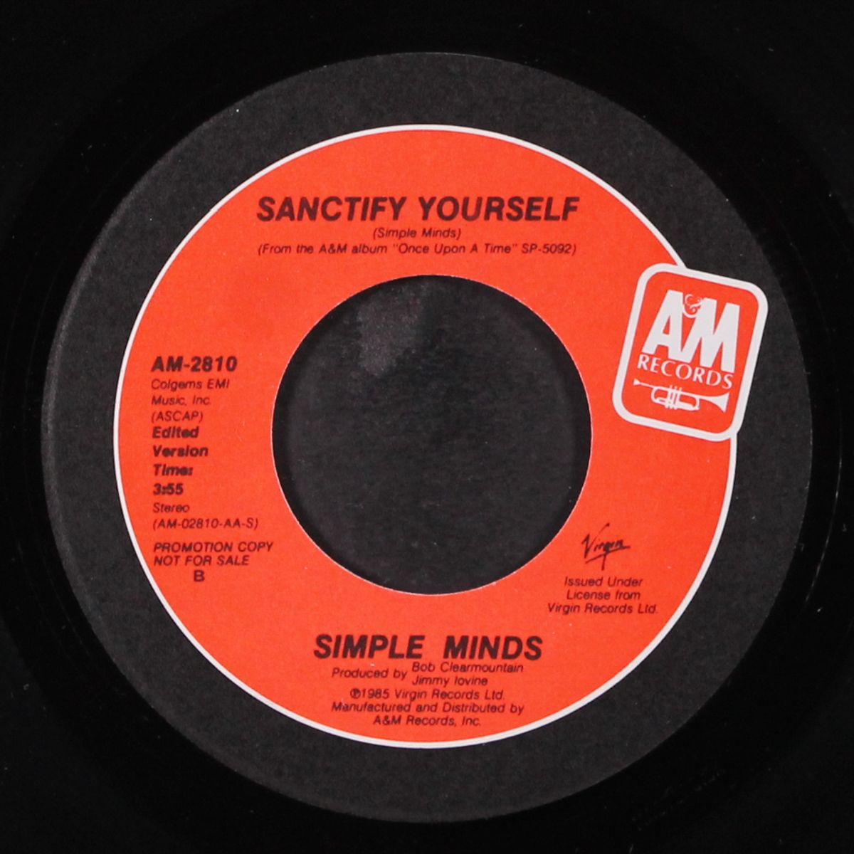 sanctify yourself / same by SIMPLE MINDS