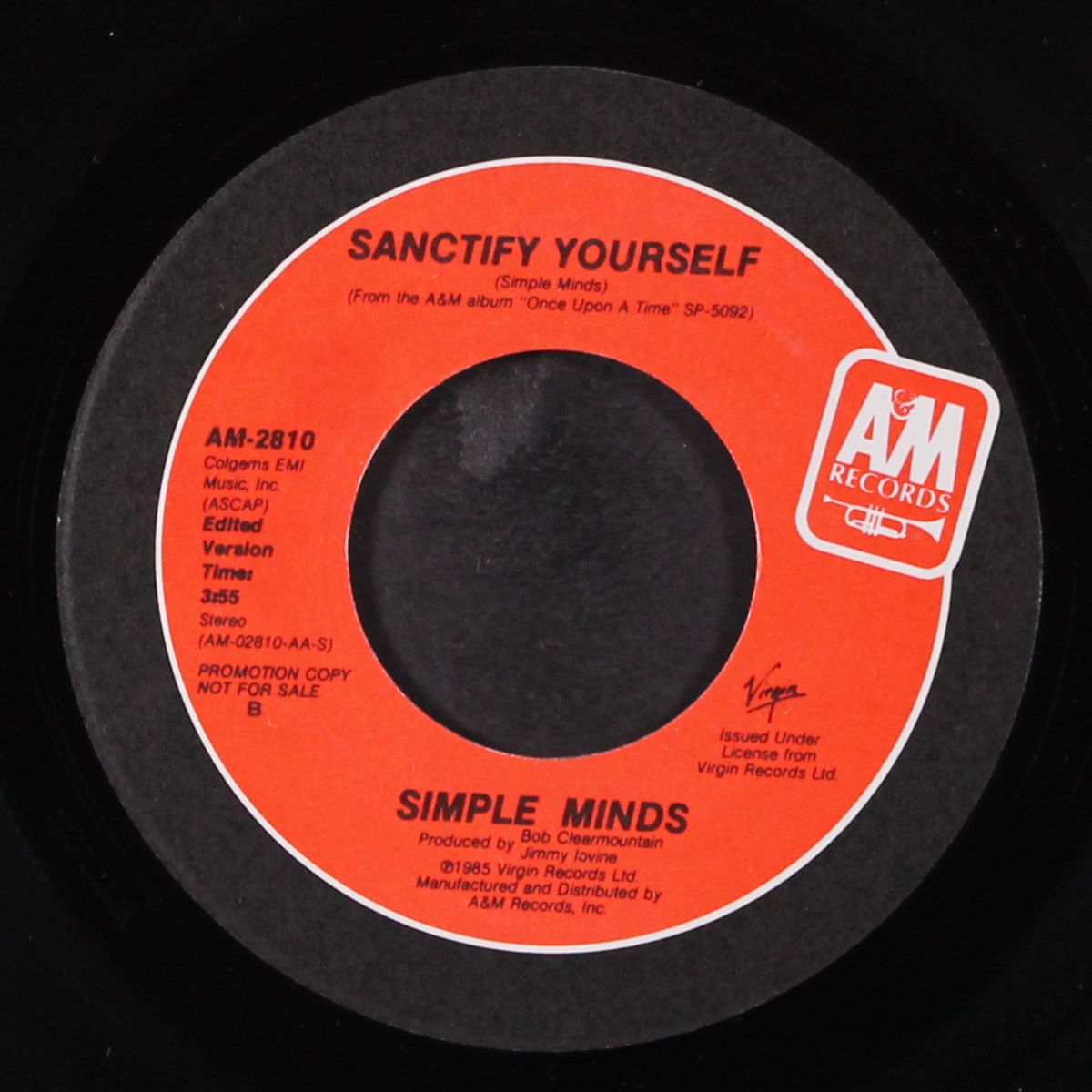 sanctify yourself / same by SIMPLE MINDS