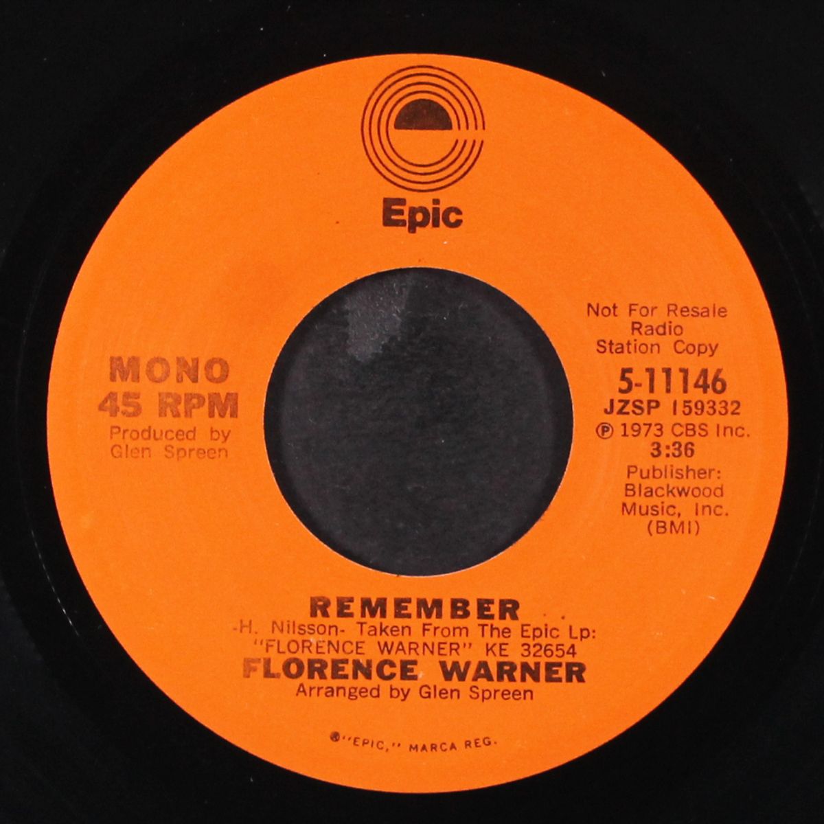 dixie / remember by FLORENCE WARNER