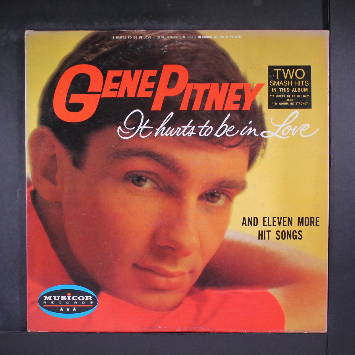 it hurts to be in love by GENE PITNEY