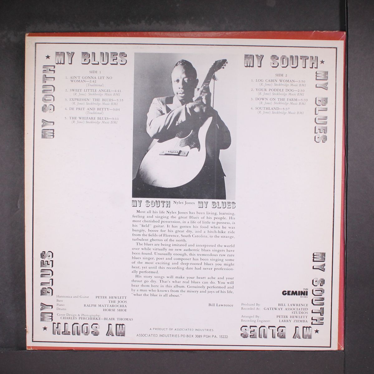 my south my blues by NYLES JONES