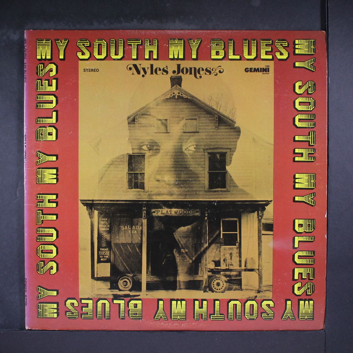my south my blues by NYLES JONES