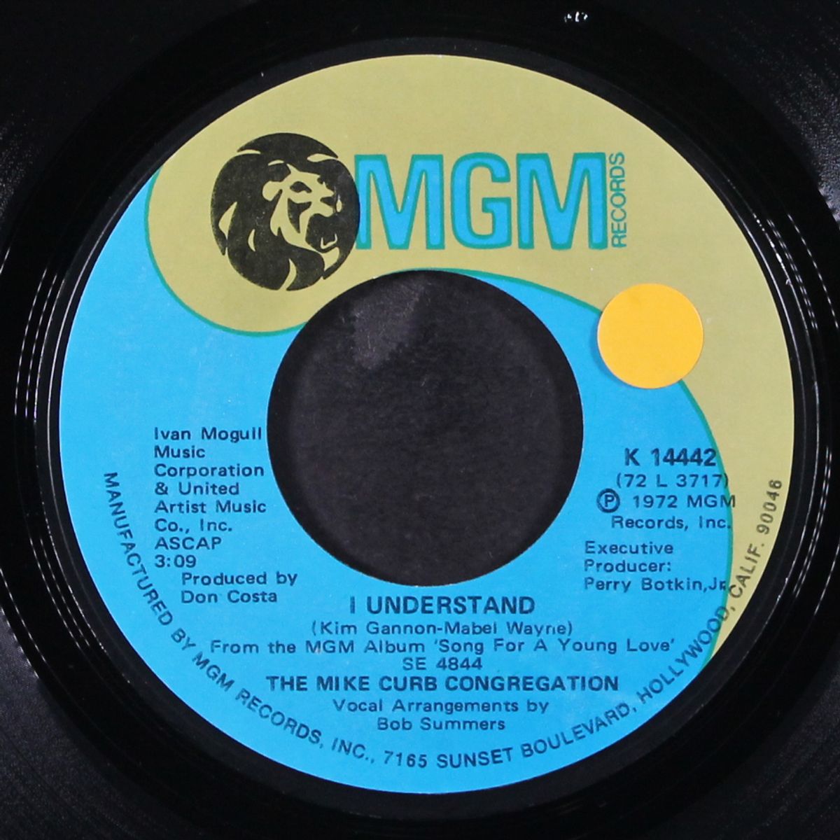 this land is your land / i understand by MIKE CURB CONGREGATION
