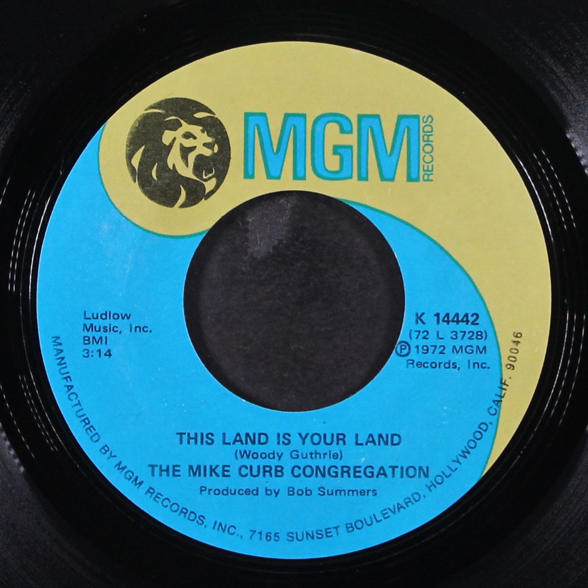 this land is your land / i understand by MIKE CURB CONGREGATION