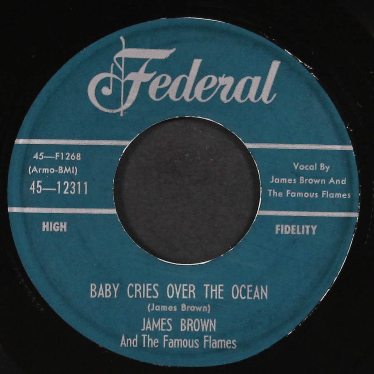 baby cries over the ocean / that dood it by JAMES BROWN