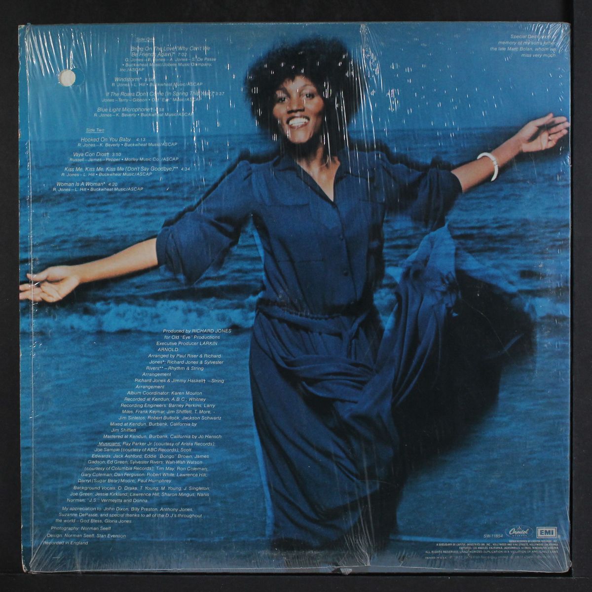 windstorm by GLORIA JONES