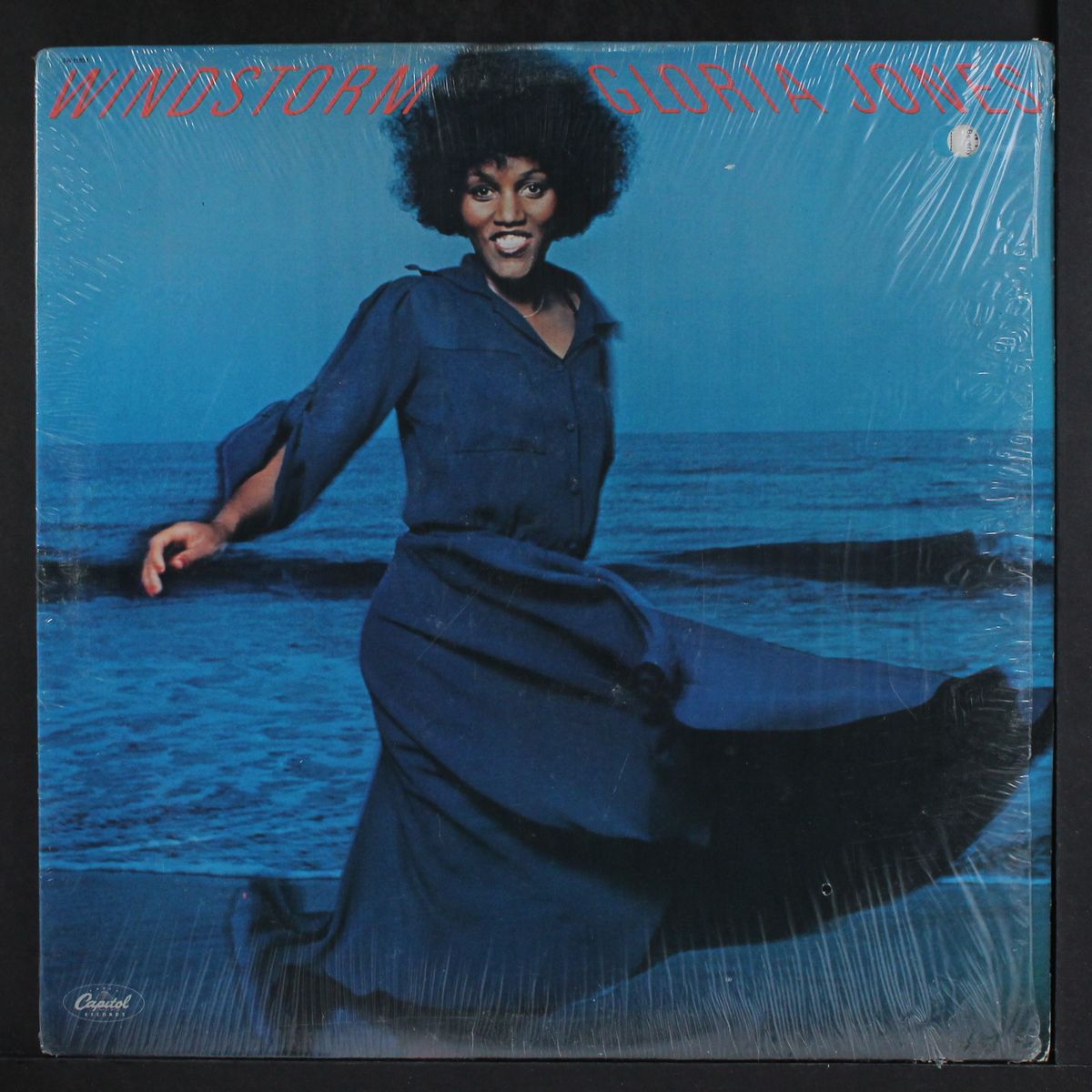 windstorm by GLORIA JONES
