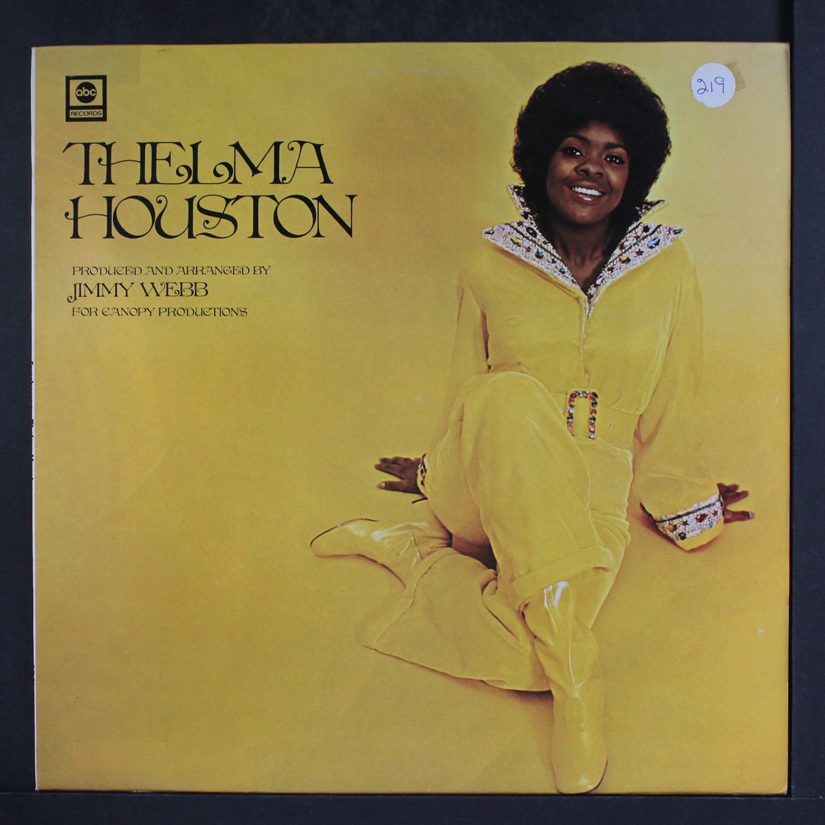 sunshower by THELMA HOUSTON