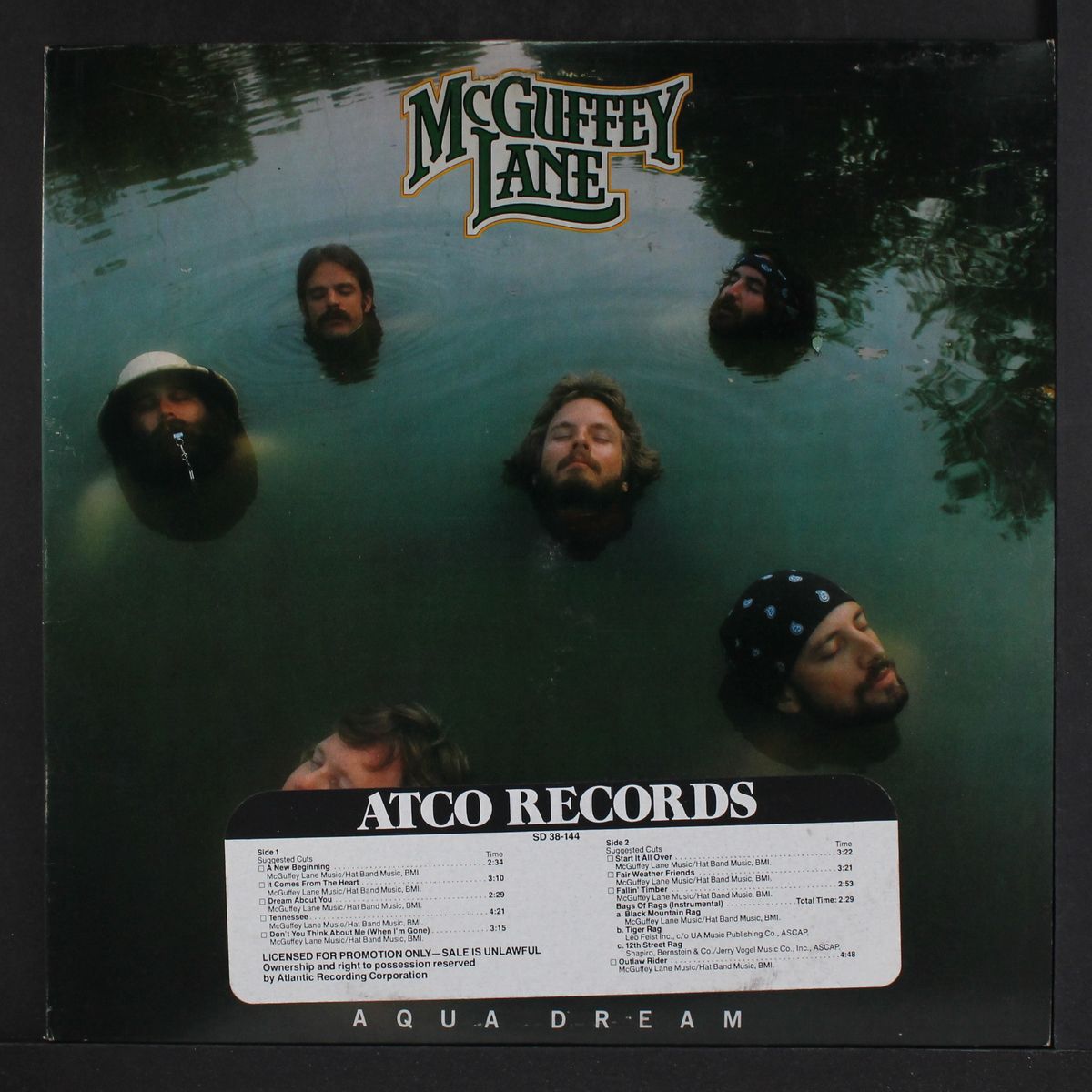 aqua dream by MCGUFFEY LANE
