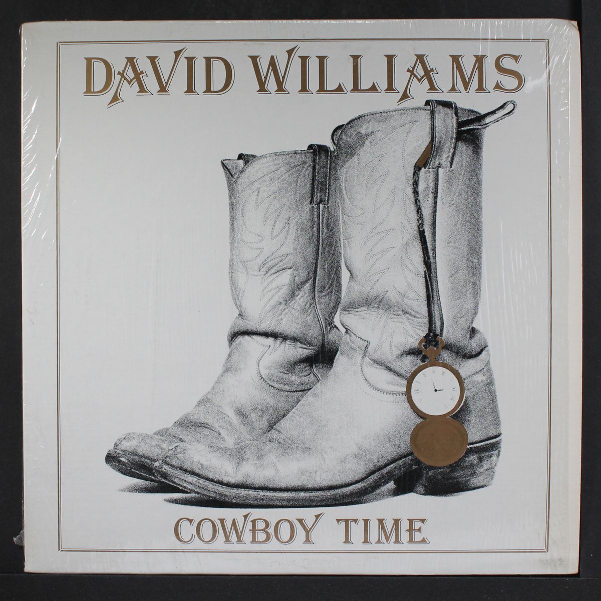 cowboy time by DAVID WILLIAMS