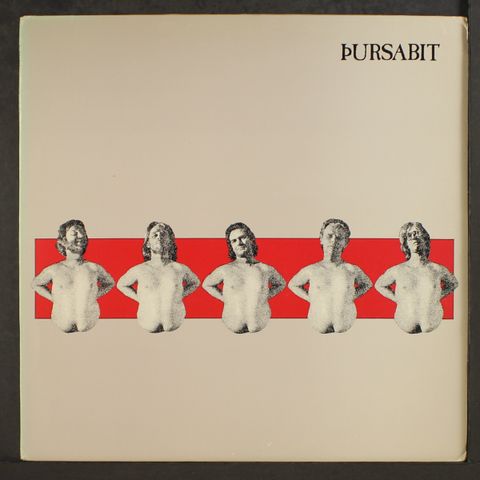 HINN ISLENSKI PURSAFLOKKUR