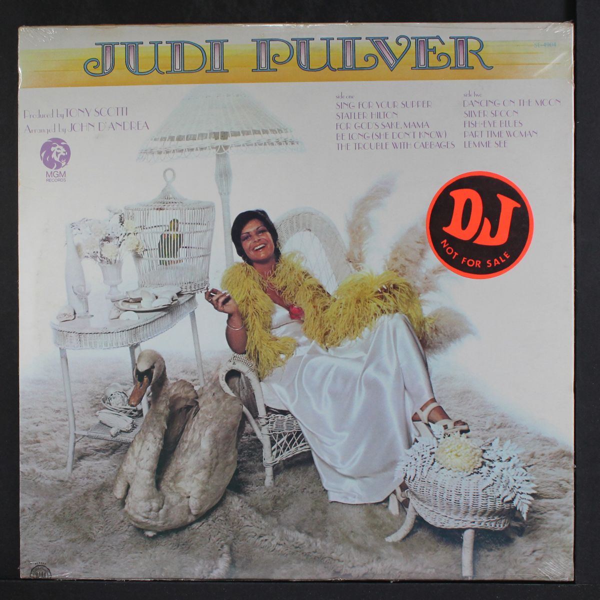 pulver rising by JUDI PULVER