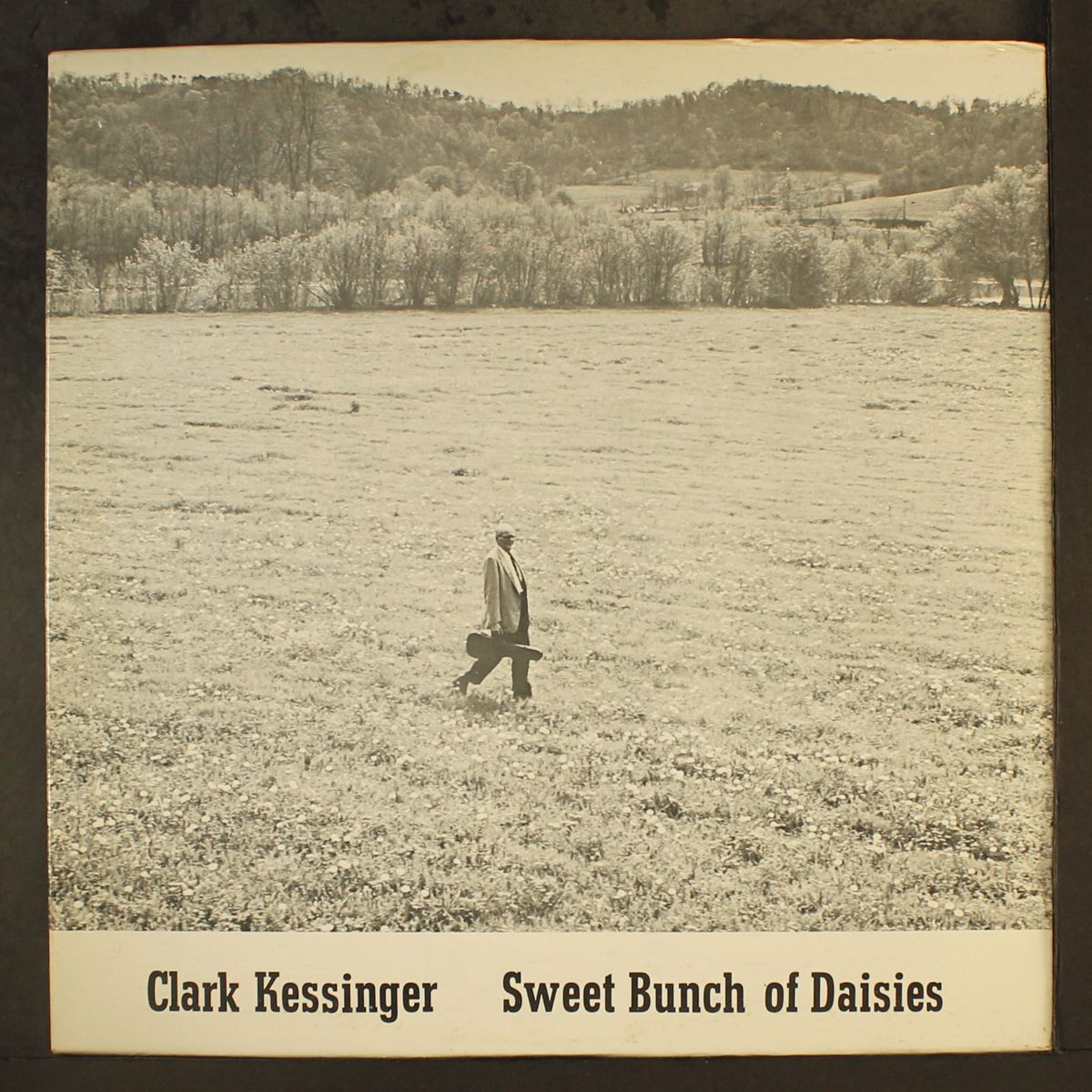 sweet bunch of daisies by CLARK KESSINGER