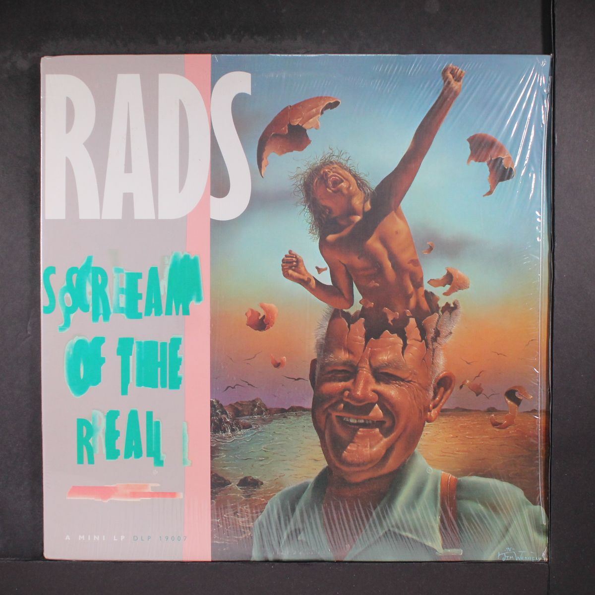 scream of the real by RADS